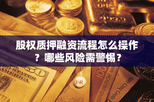 北京股权质押融资流程怎么操作？哪些风险需警惕？
