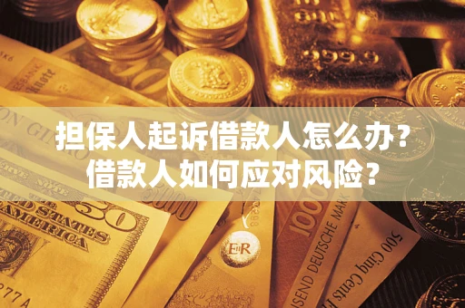 北京担保人起诉借款人怎么办？借款人如何应对风险？
