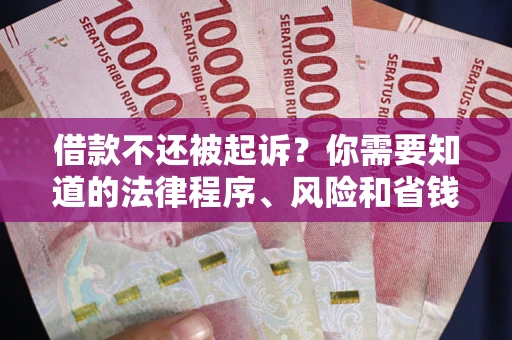 北京借款不还被起诉？你需要知道的法律程序、风险和省钱技巧