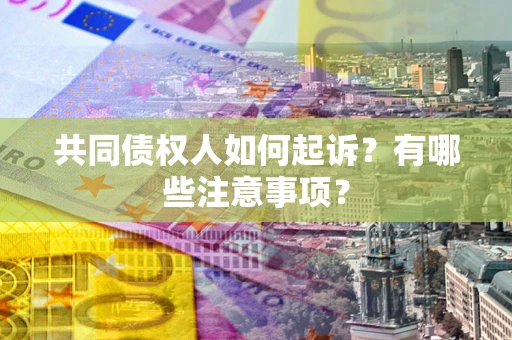 北京共同债权人如何起诉？有哪些注意事项？